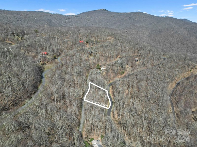 Property image 3 of 10 Chestnut Village Lane in Wolf Laurel, Mars Hill, NC 28754