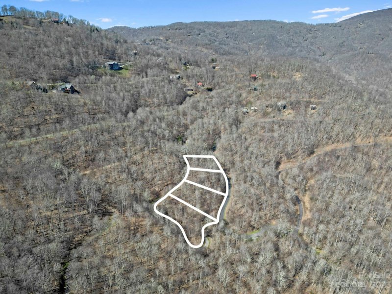 Property image 2 of 15 Chestnut Village Lane in Wolf Laurel, Mars Hill, NC 28754