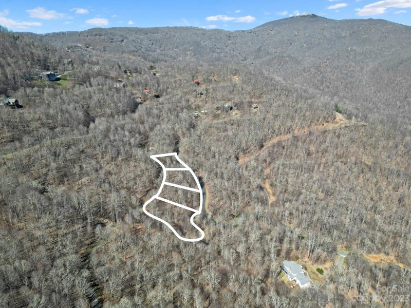 Property image 5 of 15 Chestnut Village Lane in Wolf Laurel, Mars Hill, NC 28754