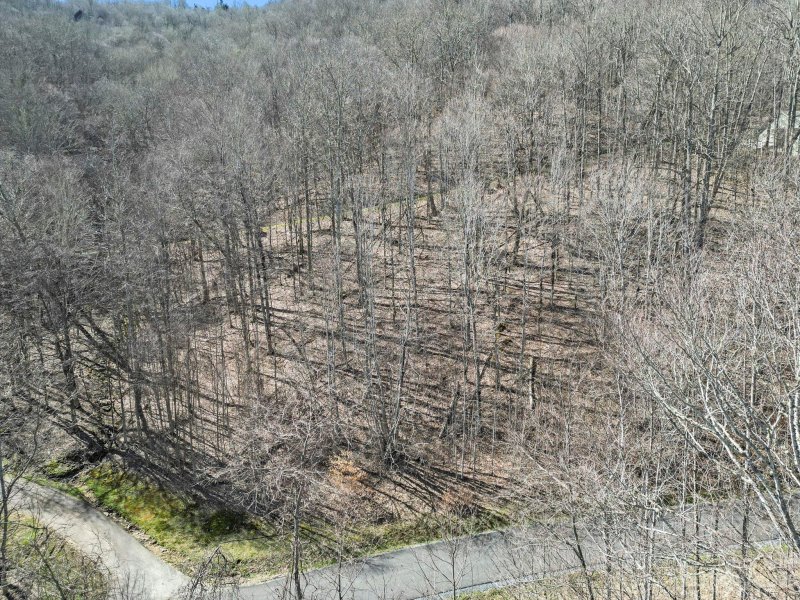 Property image 2 of 16 Chestnut Village Lane in Wolf Laurel, Mars Hill, NC 28754