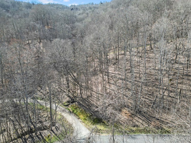 Property image 3 of 16 Chestnut Village Lane in Wolf Laurel, Mars Hill, NC 28754