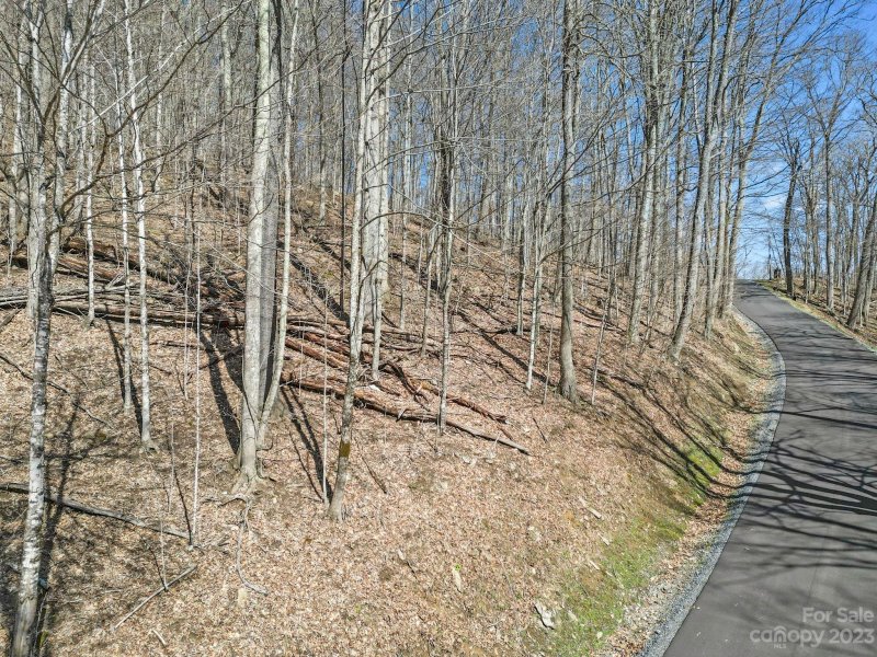 Property image 5 of 16 Chestnut Village Lane in Wolf Laurel, Mars Hill, NC 28754