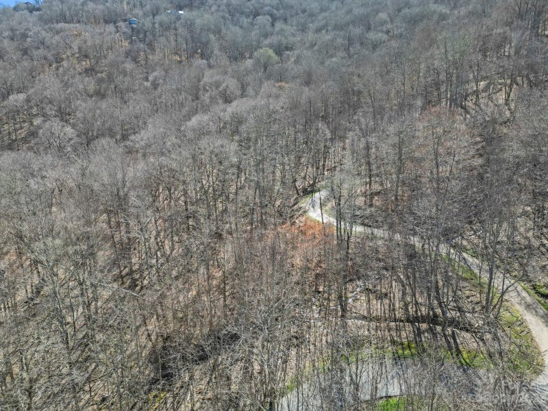 Property image 5 of 18 Chestnut Village Lane in Wolf Laurel, Mars Hill, NC 28754