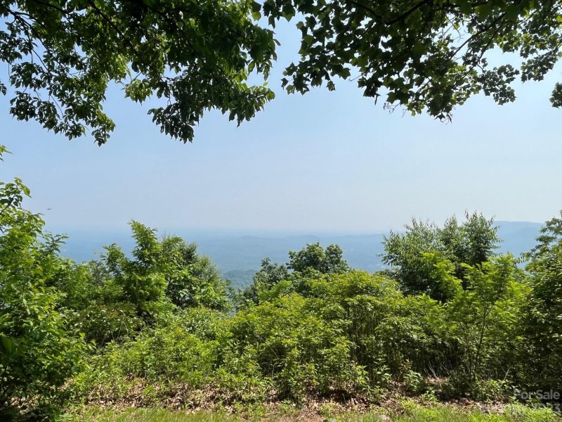 Property image 4 at 999 Arrowhead Trail, Columbus, NC 28722