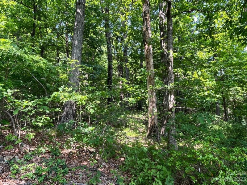 Property image 5 at 999 Arrowhead Trail, Columbus, NC 28722