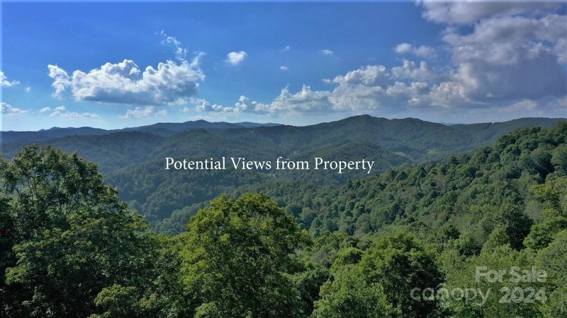 Property image 2 at 000 Wolf Ridge Road, Mars Hill, NC 28754