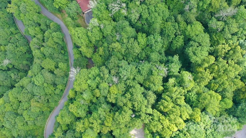 Property image 5 at 000 Wolf Ridge Road, Mars Hill, NC 28754