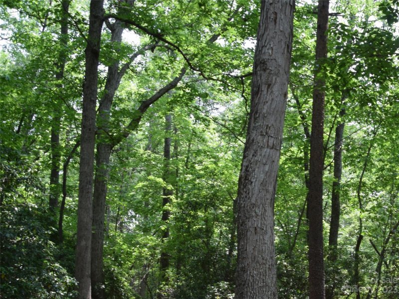 Property image 2 at Lot 9 Club Road, Tryon, NC 28782