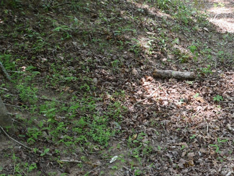 Property image 4 at Lot 9 Club Road, Tryon, NC 28782