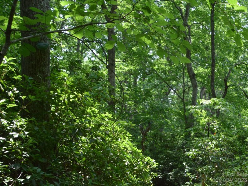 Property image 5 at Lot 9 Club Road, Tryon, NC 28782