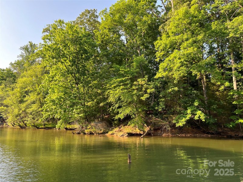 Property image 4 at 1028 Hartshaw Court, Belmont, NC 28012