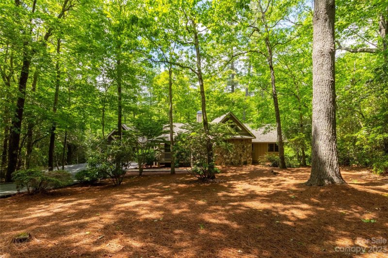 Property image 3 at 168 Rushing Springs Lane, Sapphire, NC 28774