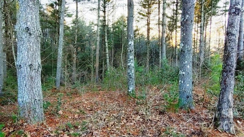 Property image 3 at 1221 Lakeside Way, Valdese, NC 28690