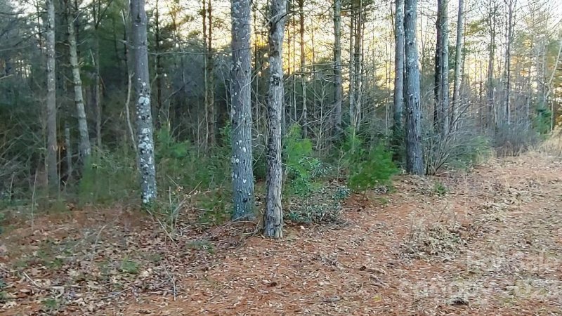 Property image 4 at 1221 Lakeside Way, Valdese, NC 28690