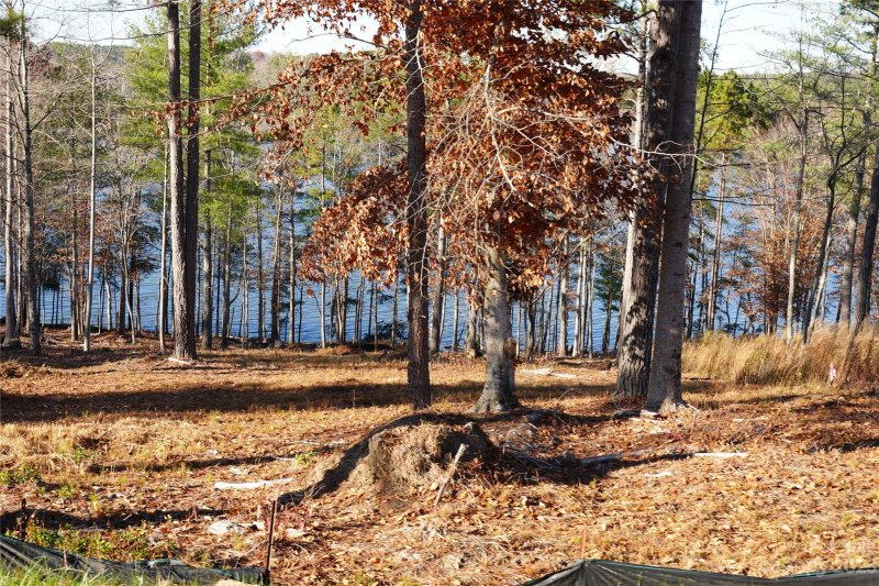 Property image 2 at 2209 Castle Peak Mountain None, Connelly Springs, NC 28612