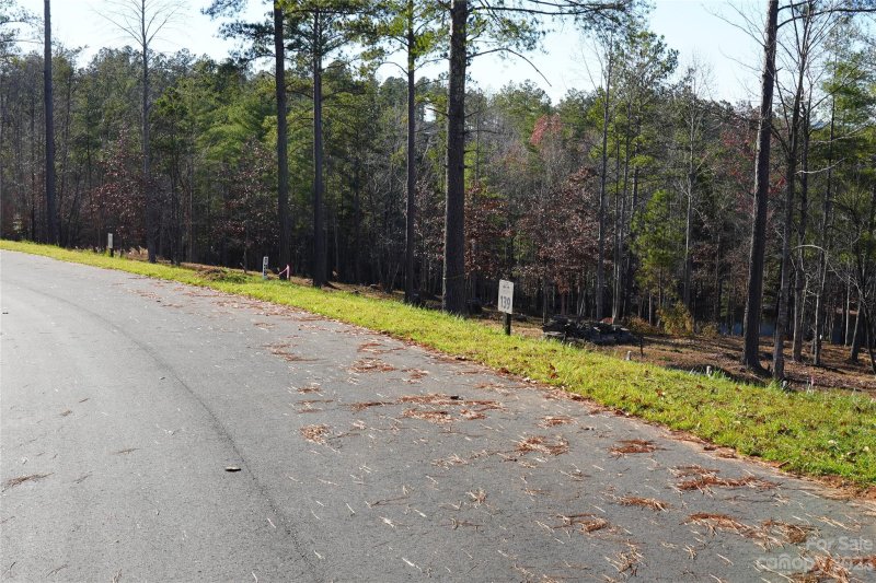 Property image 3 at 2209 Castle Peak Mountain None, Connelly Springs, NC 28612