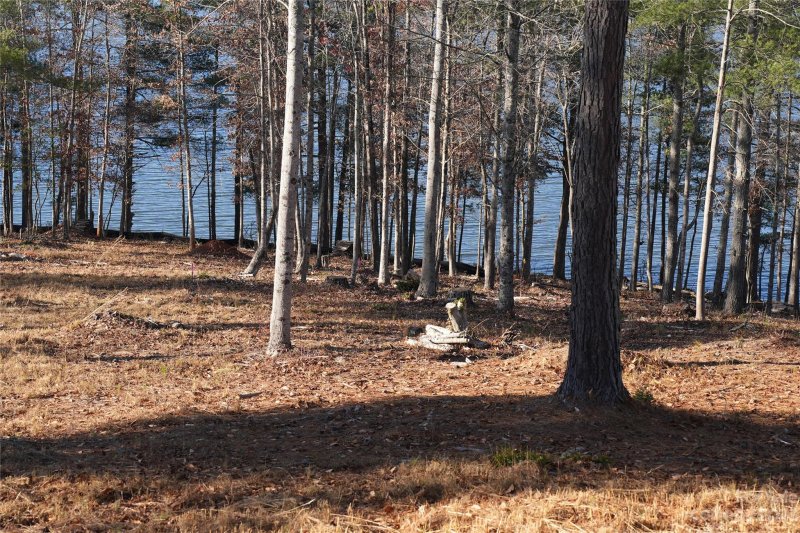 Property image 5 at 2209 Castle Peak Mountain None, Connelly Springs, NC 28612