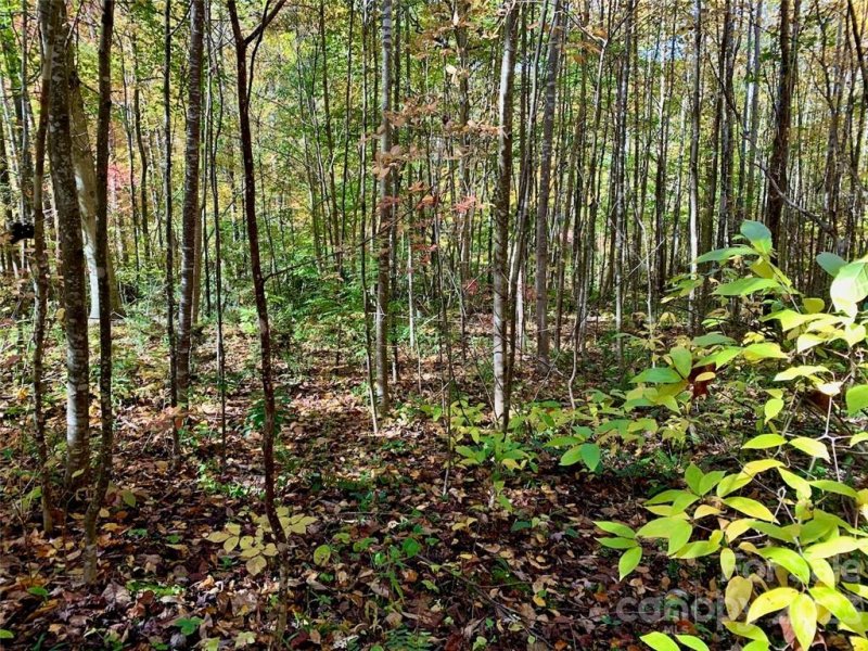 Property image 2 at Lot 22 Creekside Drive, Maggie Valley, NC 28751