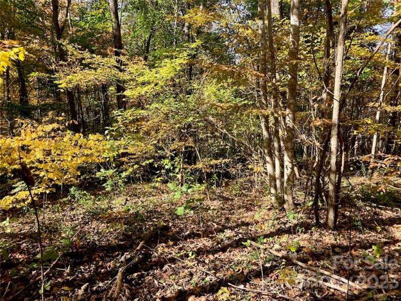 Property image 3 at Lot 22 Creekside Drive, Maggie Valley, NC 28751