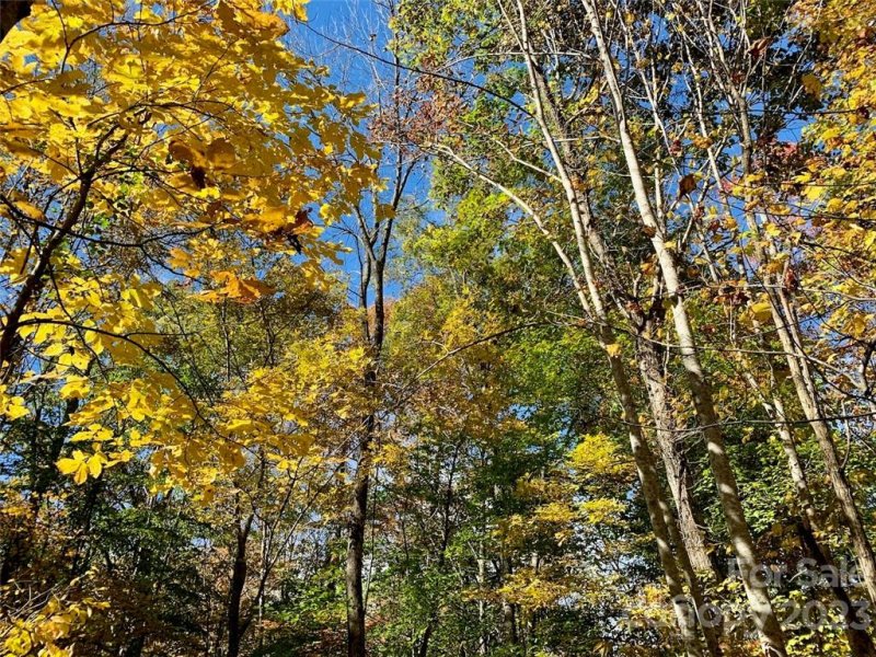 Property image 5 at Lot 22 Creekside Drive, Maggie Valley, NC 28751