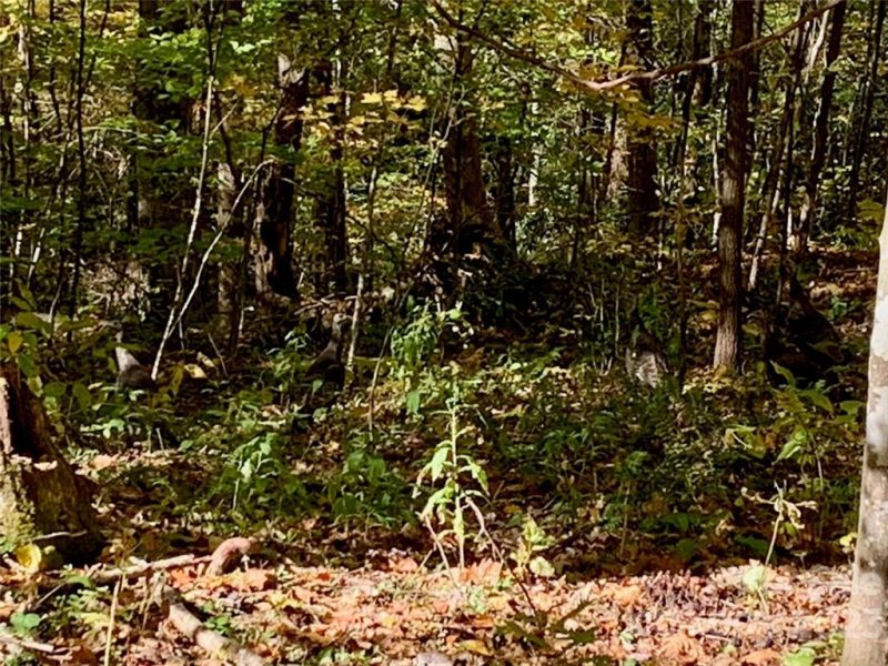 Property image 2 at Lot 23 Creekside Drive, Maggie Valley, NC 28751