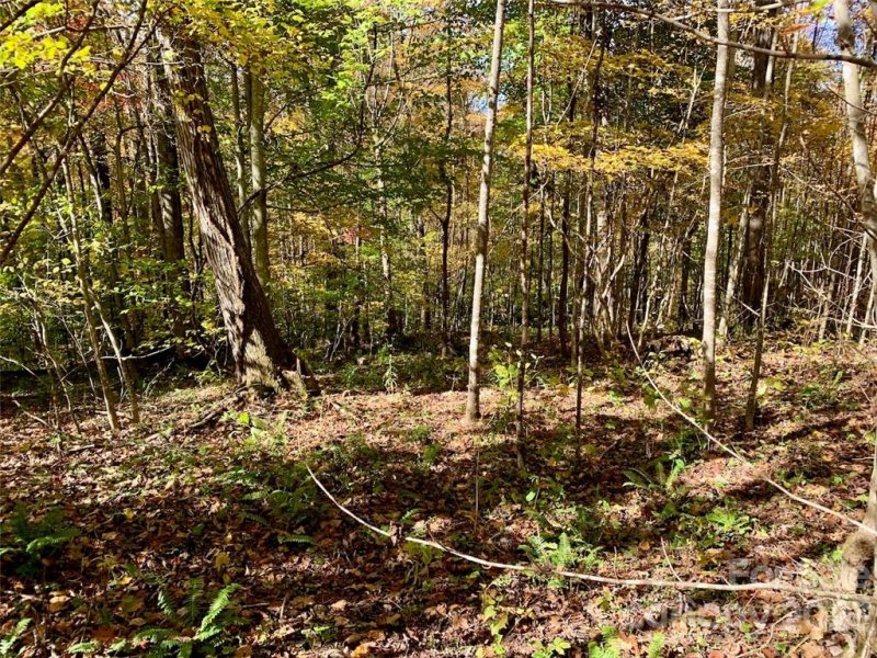 Property image 3 at Lot 23 Creekside Drive, Maggie Valley, NC 28751