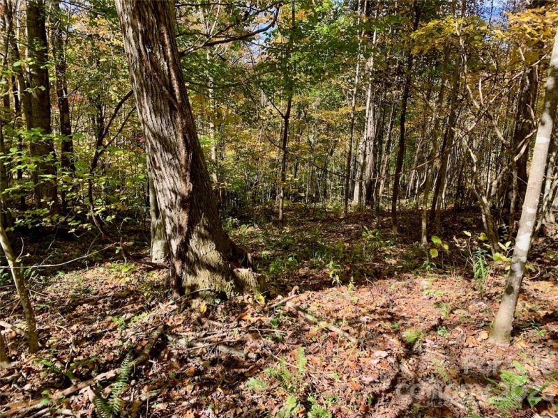 Property image 4 at Lot 23 Creekside Drive, Maggie Valley, NC 28751