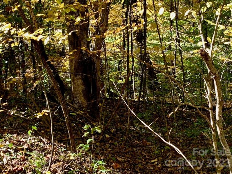 Property image 5 at Lot 23 Creekside Drive, Maggie Valley, NC 28751