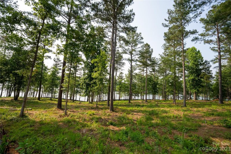 Property image 4 at Lot 100 Decker Road, Connelly Springs, NC 28612