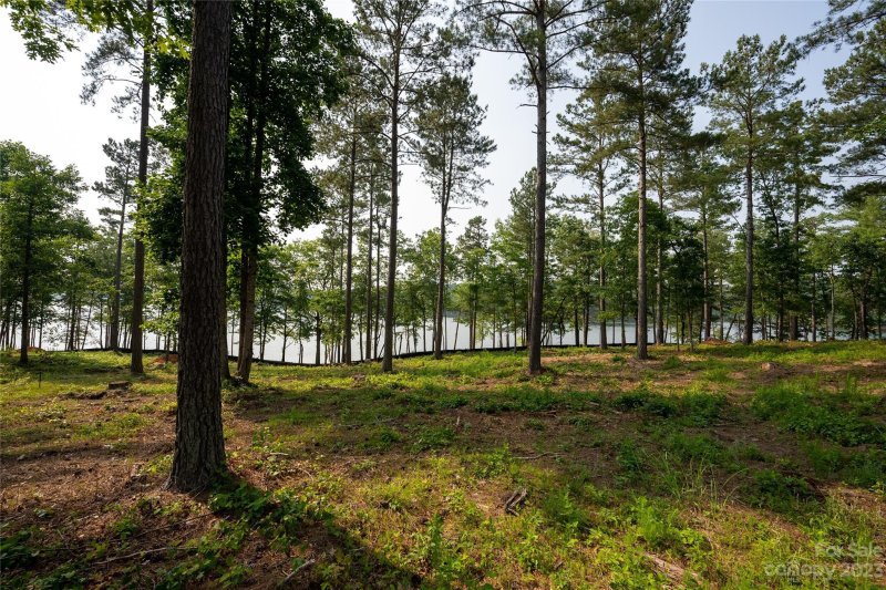 Property image 5 at Lot 100 Decker Road, Connelly Springs, NC 28612