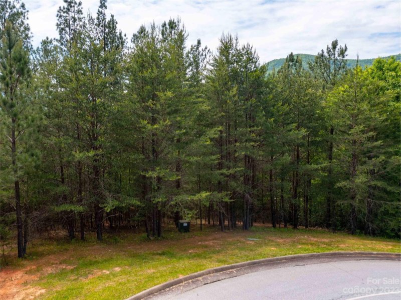 Property image 2 at Lot 116 Deep Gap Farm Road, Mill Spring, NC 28756