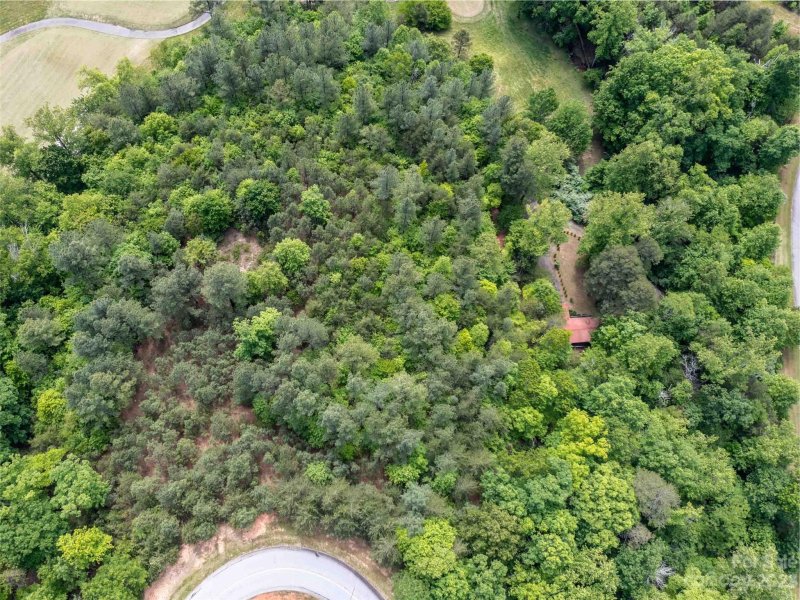 Property image 3 at Lot 116 Deep Gap Farm Road, Mill Spring, NC 28756