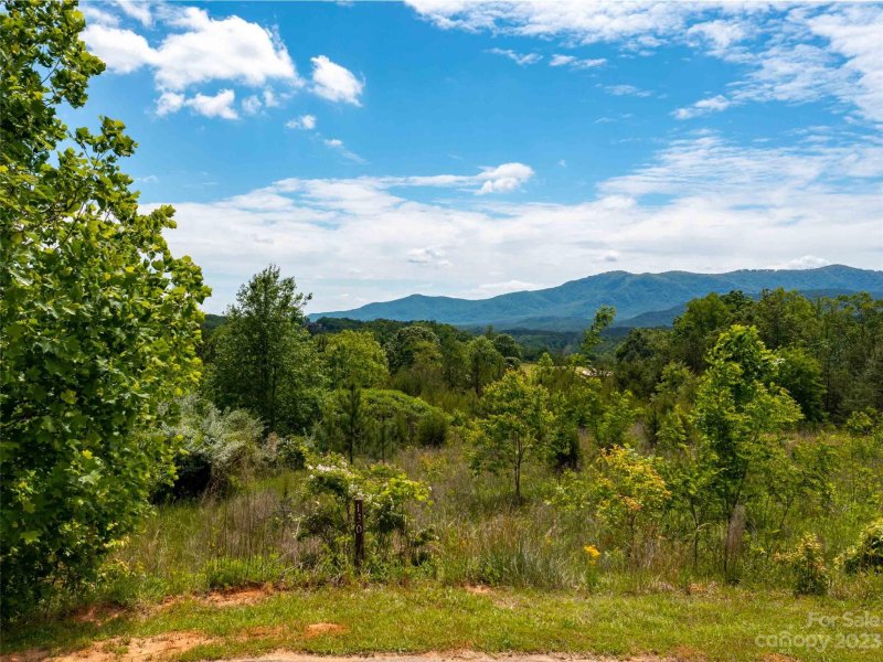 Property image 2 at Lot 130 Cumberland Road, Mill Spring, NC 28756