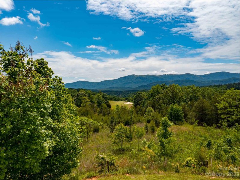 Property image 5 at Lot 130 Cumberland Road, Mill Spring, NC 28756