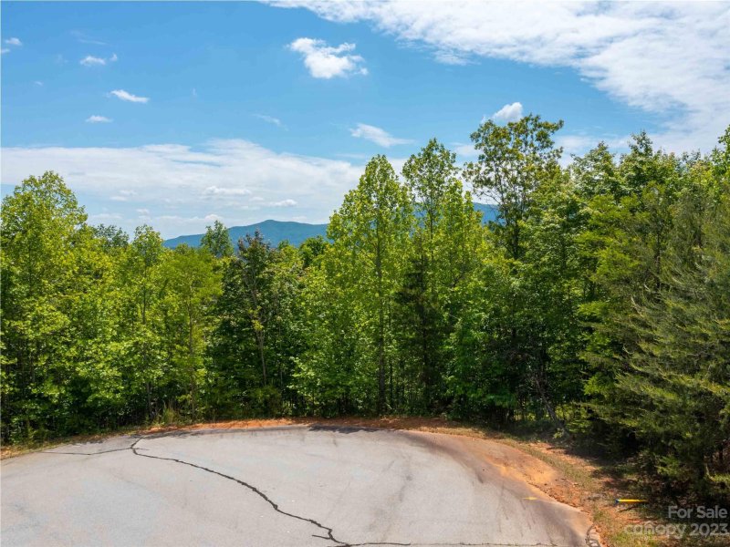 Property image 2 at Lot 145 Wee Burn Road, Mill Spring, NC 28756