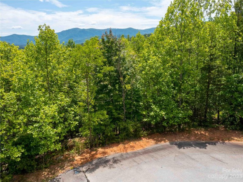 Property image 3 at Lot 145 Wee Burn Road, Mill Spring, NC 28756
