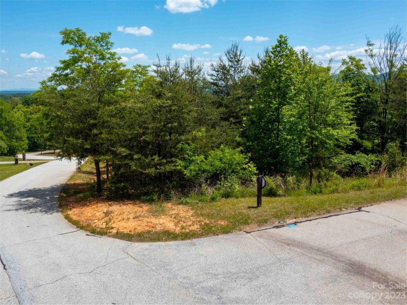 Property image 3 of Lot 150 Birkdale Drive in Brights Creek, Mill Spring, NC 28756