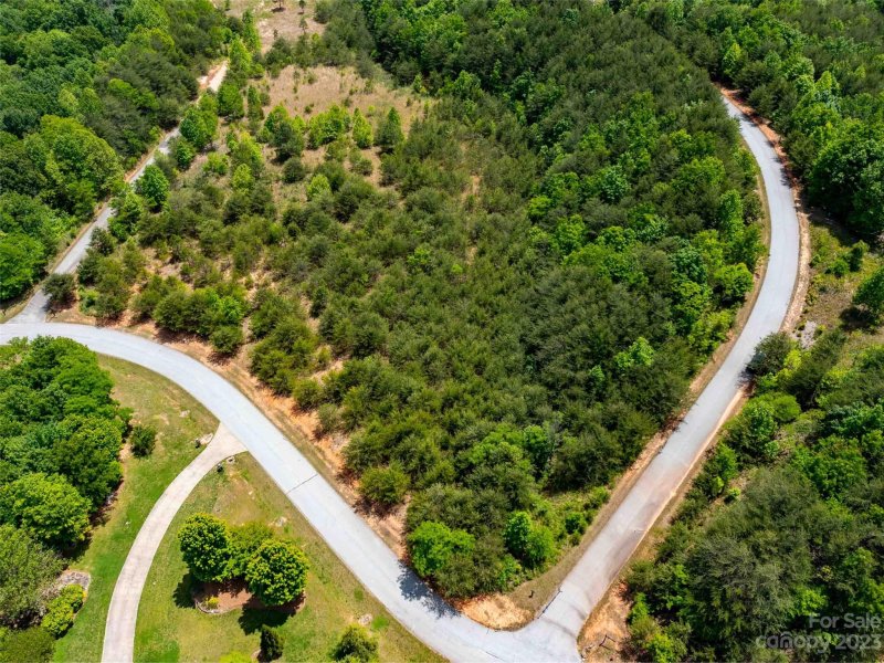 Property image 5 of Lot 150 Birkdale Drive in Brights Creek, Mill Spring, NC 28756