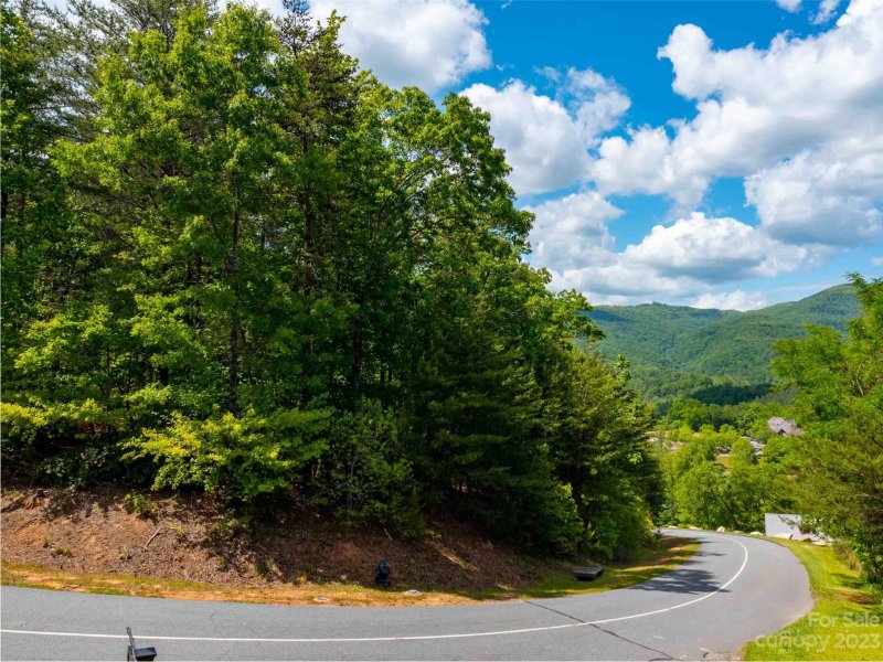 Property image 2 of Lot 2012 Deep Gap Farm Road in Brights Creek, Mill Spring, NC 28756