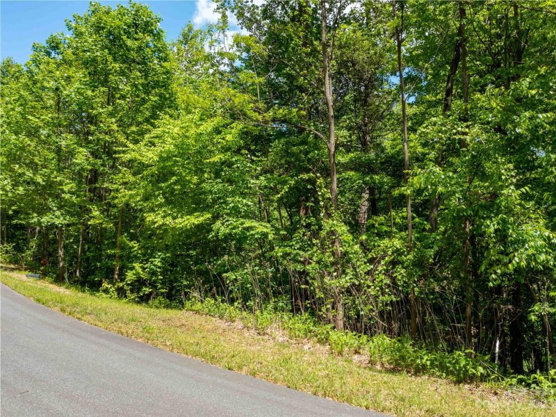 Property image 2 of Lot 2111 Harm Creek Loop in Brights Creek, Mill Spring, NC 28756