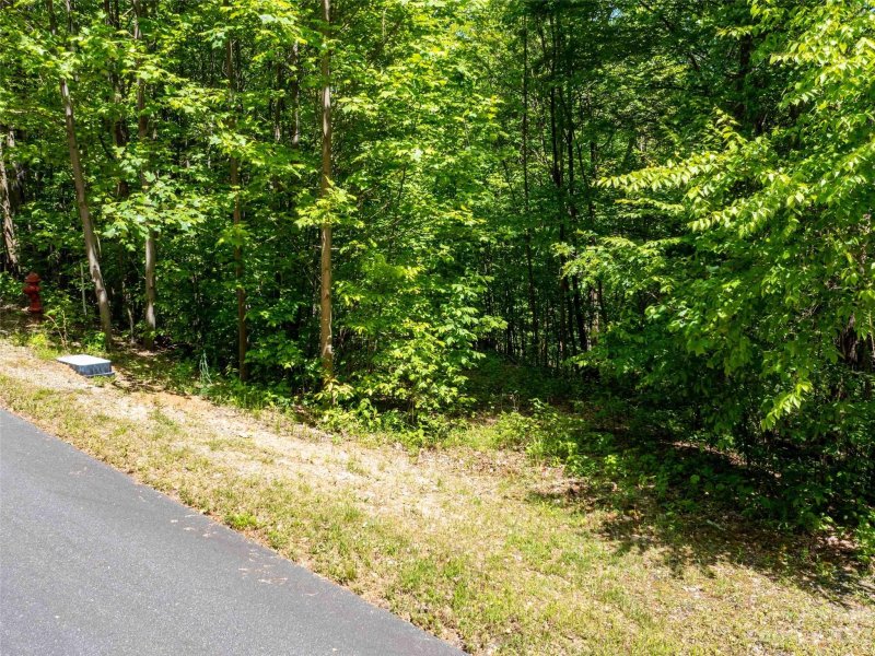 Property image 3 of Lot 2111 Harm Creek Loop in Brights Creek, Mill Spring, NC 28756