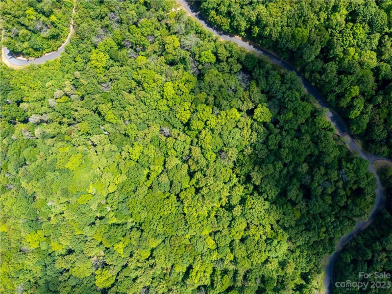 Property image 5 of Lot 2111 Harm Creek Loop in Brights Creek, Mill Spring, NC 28756