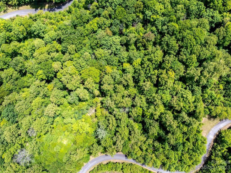 Property image 3 of Lot 2147 Twin Falls Lane in Brights Creek, Mill Spring, NC 28756