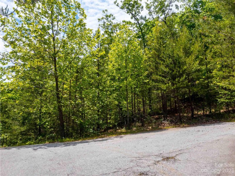 Property image 2 at Lot 2168 Old Gold Mine Loop, Mill Spring, NC 28756