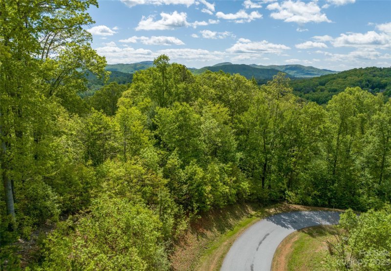 Property image 4 at 99999 Old Forest Drive, Asheville, NC 28803