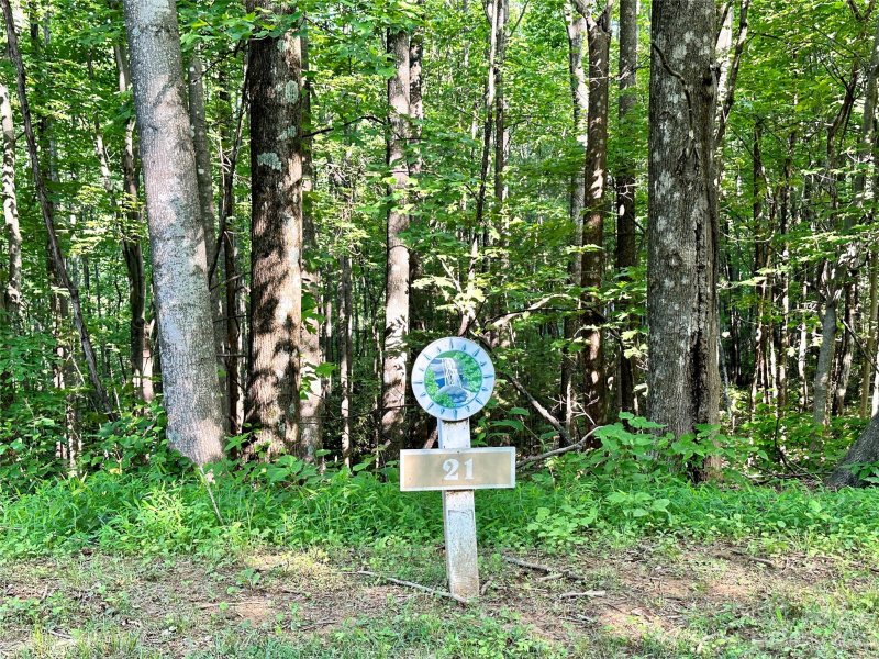 Property image 2 at 405 Feather Falls Trail, Black Mountain, NC 28711