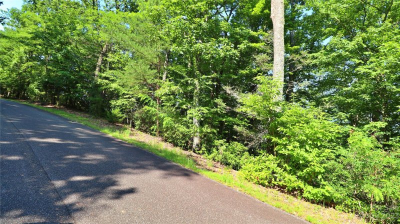 Property image 3 at Tbd Hawks Nest Trail, Lake Lure, NC 28746