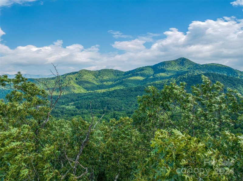 Property image 4 at 99999 5 Wiggins Road, Candler, NC 28715