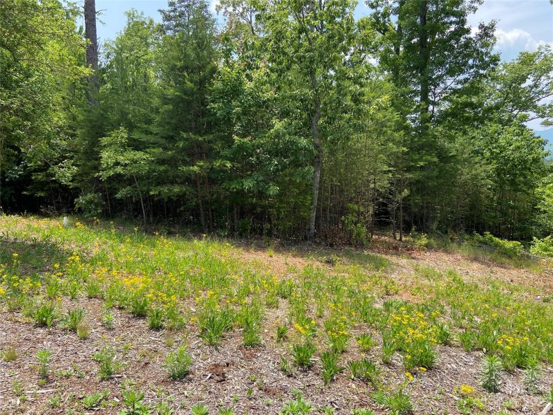 Property image 2 at 0 Willow Top Lane, Lake Lure, NC 28746