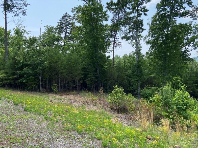 Property image 5 at 0 Willow Top Lane, Lake Lure, NC 28746